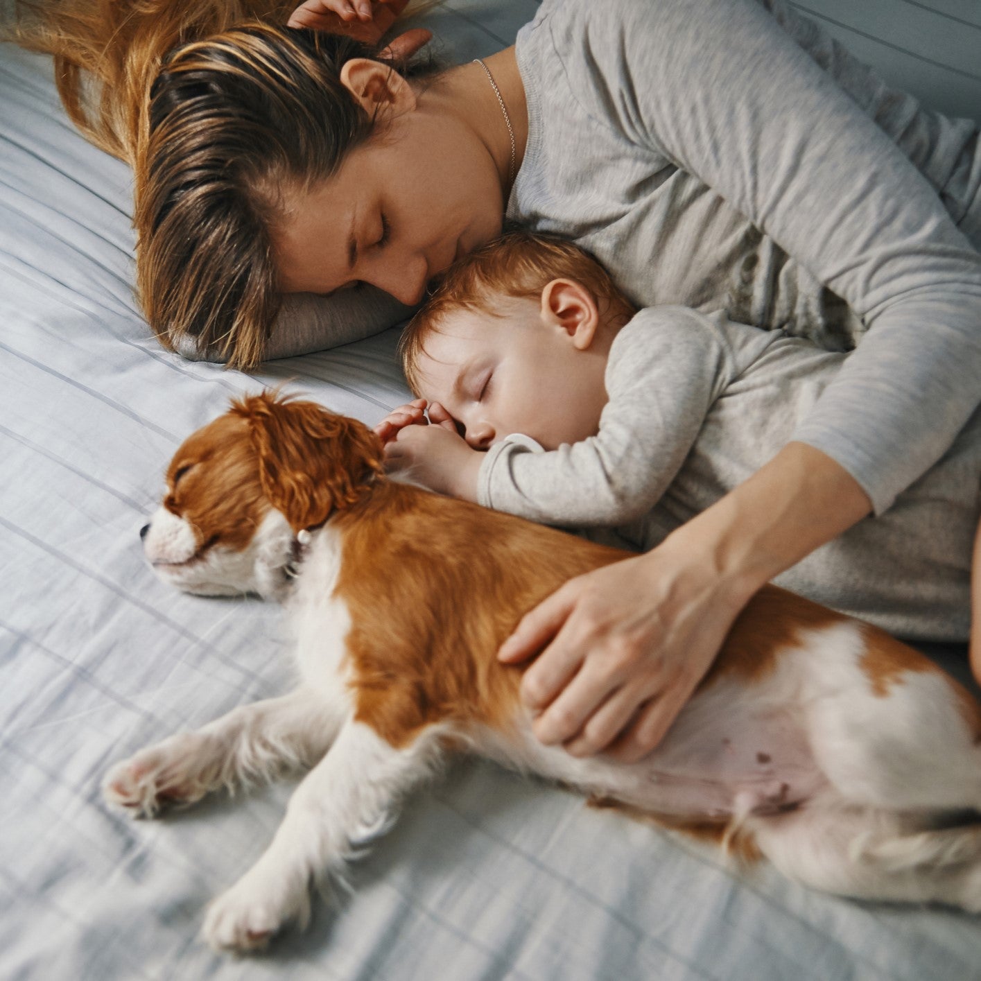 Family with Mom, Baby, and Dog Sleeping